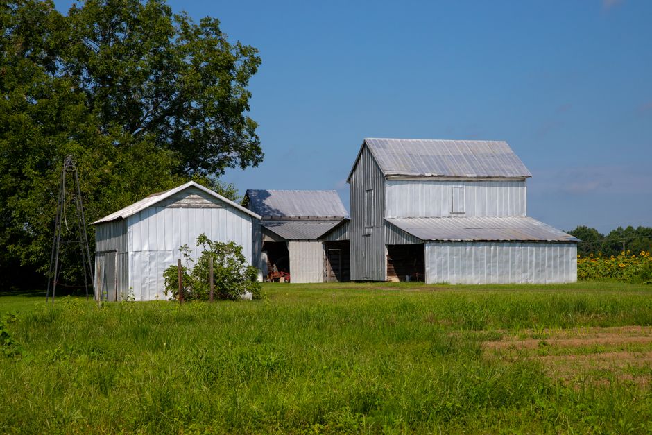 Traditional metal barn buildings on a rural North Carolina farm, illustrating pole barn vs metal building kit options in Jonesville NC