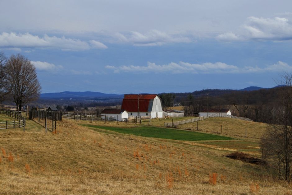 White barn with red roof on a rolling Virginia farm landscape with fenced pastures and blue mountain ridgeline